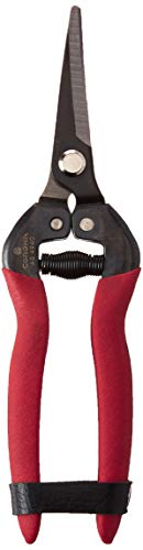 Corona Long courbé Snip 12 Tempered Steel - Bricolage & Outils Amazon France à 12.69€