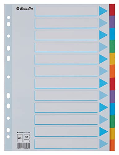 Leitz Esselte Register für A4, Deckblatt und 12... - Sports & Fitness Amazon Allemagne à 2.52€