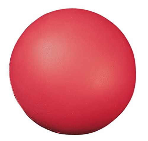 Champion Sports Schaumstoffball mit hoher Dichte, 17,8 cm... - Sports & Fitness Amazon Allemagne à 16.60€