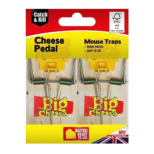 The Big Cheese Pedal FSC Mouse Trap - Twinpack, Cheese... - Sports & Fitness Amazon Royaume-Uni à 1.20€
