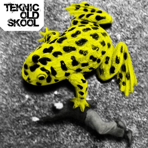 Teknic Old Skool - Musique & Instruments Amazon France à 65.76€
