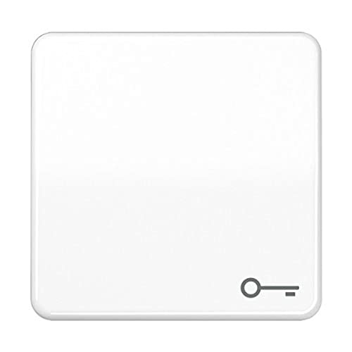 Jung Cd59 0TWW Rocker Switch with Door Symbol en promo sur Amazon