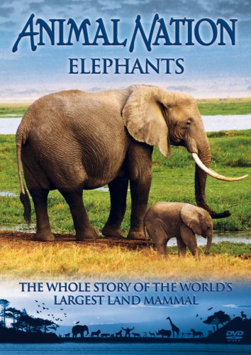 Animal Nation - Elephants [Edizione: Regno Unito] - Livres & eBooks Amazon Italie à 17.27€