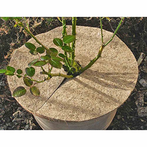 Star 3073230 Kokos-Mulchscheibe Durchmesser: 45 cm - DIY & Tools Amazon Germany à 2.89€