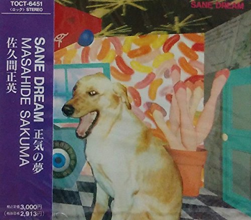 セイン・ドリーム~正気の夢 - Musique & Instruments Amazon France à 71.27€