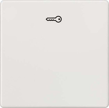 Bjc delta i-sys blanco - Tecla simbolo llave instabus eib... - High-Tech & Électronique Amazon Espagne à 4.66€