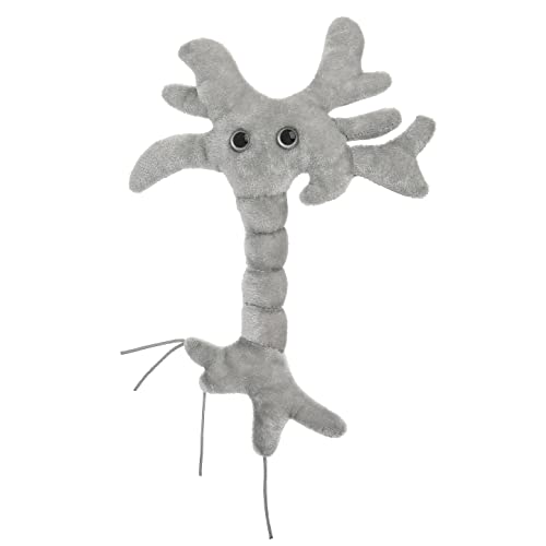 Cellule du cerveau en peluche GIANTmicrobes – Découvrez les... - Jouets & Jeux Amazon France à 28.43€