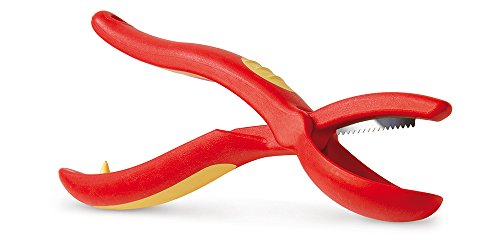Snips Chestnut Cutter with Steel Blade - Chestnut Opener... - Amazon Royaume-Uni à 5.65€