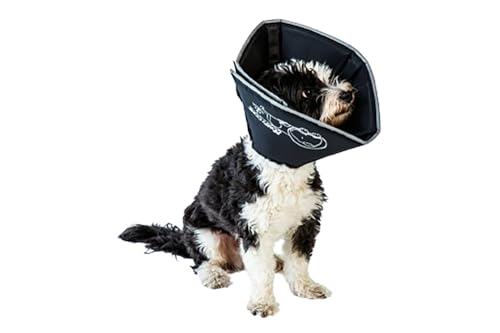 All Four Paws, The Comfy Cone, la collerette de protection... - Animalerie Amazon France à 21.98€