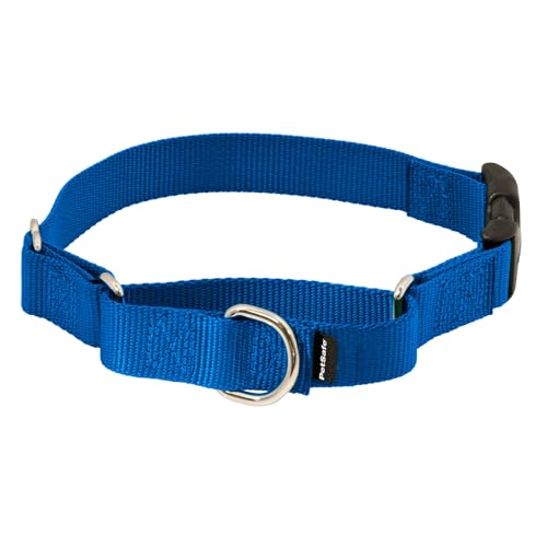 PetSafe Petite Martingale Collier avec Boucle Quick Snap - Pet Supplies Amazon France à 12.98€