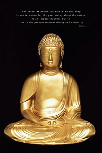 Pyramid Generic Buddha 61 x 91.5 cm Maxi Poster en promo à 4,79€ (-71%) sur Amazon FR