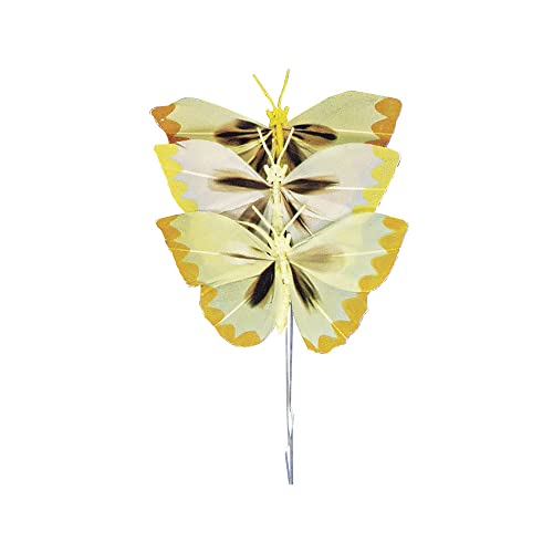 RAYHER HOBBY Piuma Farfalla Giallo 6 cm - Amazon Italy à 2.99€
