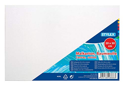 Stylex, 20 x 30 cm, carton de 3 mm d'épaisseur avec tissu... - Auto & Moto Amazon France à 1.49€