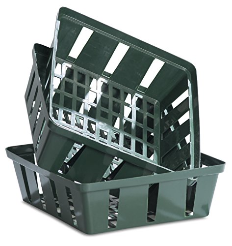 Windhager Set di 3 Ciotole per Piante e cipolle, per... - Amazon Italie à 5.49€
