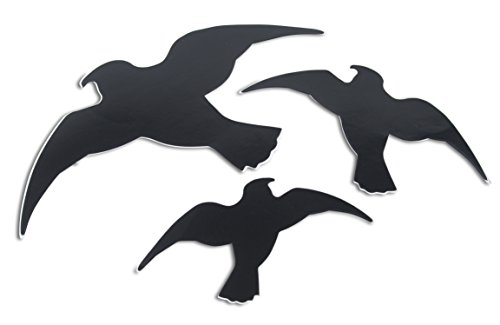 Windhager 07116 Lot de 3 Autocollants faciles à Coller sur... - Sports & Fitness Amazon France à 2.19€