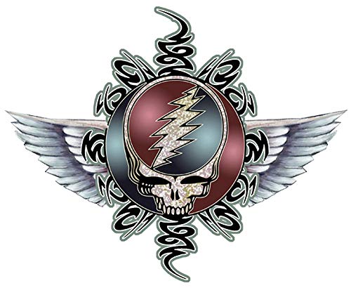 Mike DuBois - Grateful Dead Steal Your Face - 5.5" x 4.5"... - Sports & Fitness Amazon Royaume-Uni à 24.22€