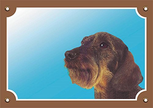 Nobby Warntafel Rauhaar Dackel Gelb 12 x 3,5 cm - Beauty & Fragrances Amazon Italy à 4.20€