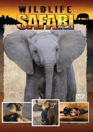 Wildlife Safari Volume 5 [DVD] - Livres & eBooks en promo à 39.68€