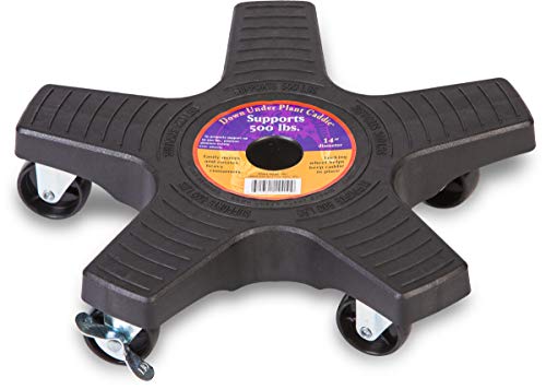 Bosmere Support de Plante 14410 Down Under Plante Caddy... - Amazon France à 33.79€