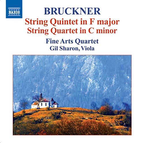 Bruckner: Streichquintett F-dur / Streichquartett c-moll - Musique & Instruments Amazon Allemagne à 6.99€
