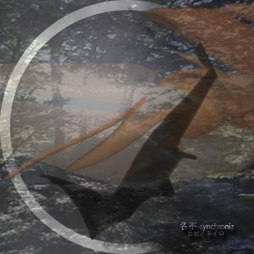 ƒqƒrƒmƒlƒCƒ - Musique & Instruments Amazon Royaume-Uni à 36.58€