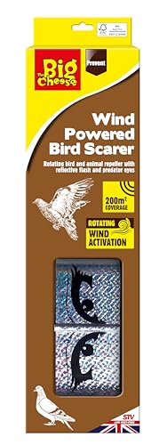 The Big Cheese Wind Powered Bird Scarer, Wind Activated... - Maison & Cuisine Amazon Royaume-Uni à 3.99€