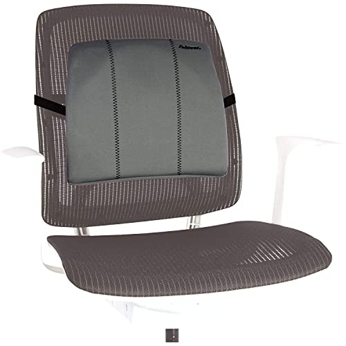 Fellowes - 9190901 - Office Suites - Support Dorsal Fin en... en promo à 19,99€ (-51%) sur Amazon FR