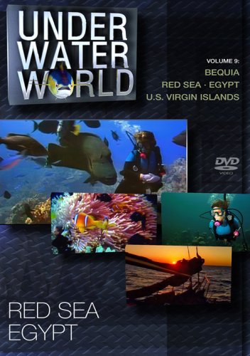 Under Water World Vol. 9 - Red Sea, Ägypten [DVD] - Livres & eBooks Amazon Royaume-Uni à 55.69€