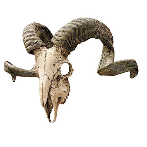 Design Toscano CL3377 Corsican Ram Skull and Horns Wall... - High-Tech & Électronique Amazon Royaume-Uni à 69.70€