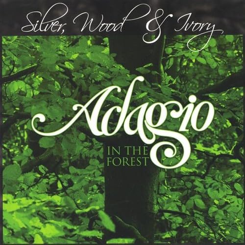 Adagio in the Forest - Musique & Instruments en promo à 24.27€