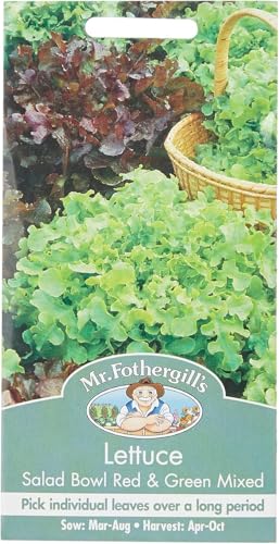 Mr Fothergill's 17329 Vegetable Seeds, Lettuce Salad Bowl... - Maison & Cuisine Amazon Royaume-Uni à 2.36€