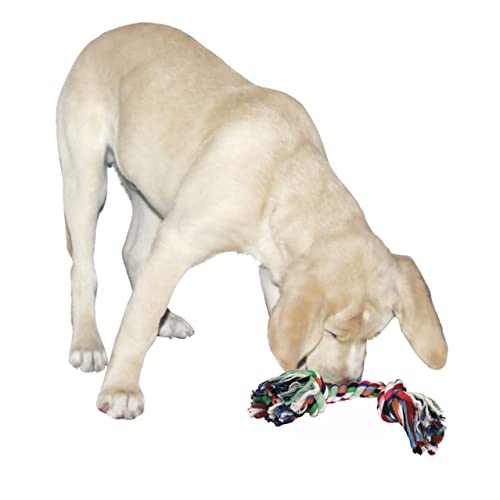 Kerbl Pet 83470 Zahnknoten aus Baumwolle, 40 g - Pet Supplies Amazon Germany à 2.21€