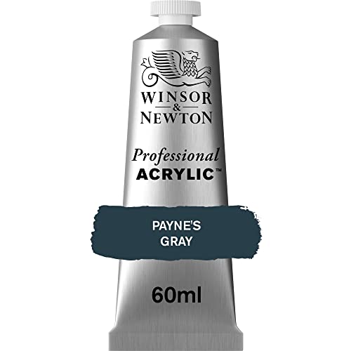 Winsor & Newton Professional Acrylic Colour - Payne's Grey... - Bon plan à 3.99€