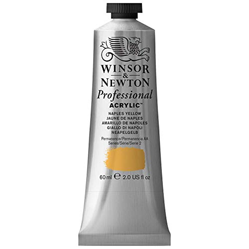 Winsor & Newton Professional Acrylique Tube 60ml 422 Jaune... en promo à 8,90€ (-57%) sur Amazon FR
