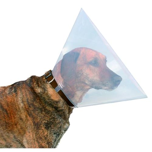 Beeztees Collerette pour Chien 28-33 x 12,5 cm en promo à 2,89€ (-83%) sur Amazon FR