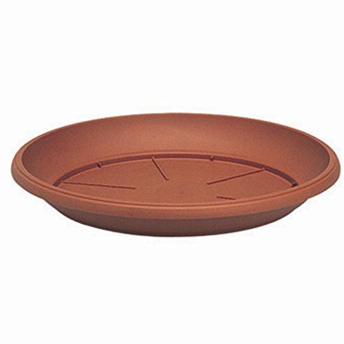 ARCA SOTTOVASI Giglio 331 Colore Terra P/VASI - Amazon Italie à 4.36€