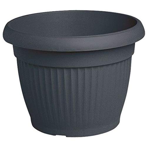 Vaso similcotto 30cm ant. anthrazit - Maison & Cuisine Amazon Allemagne à 8.97€