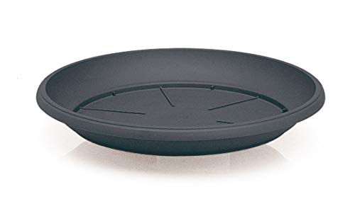 Untersetzer Similcotto �30 cm - Maison & Cuisine en promo à 2.38€