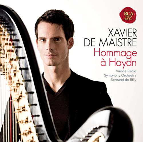 Hommage a Haydn - Musique & Instruments en promo à 7.44€