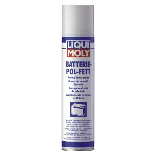 LIQUI MOLY Grasso per poli batteria (Spray), 300 ml, Grasso... - Sports & Fitness Amazon Italie à 14.09€