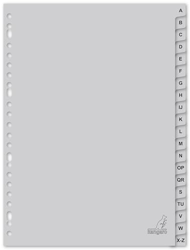 Kangaro G420AZM De plástico Gris 1pieza(s) divisor (Gris... - DIY & Tools Amazon Spain à 5.14€