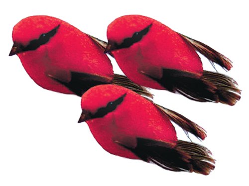 Touch of Nature 20031 Mini Bird, 1/2-Inch - Loisirs Créatifs Amazon Royaume-Uni à 7.15€