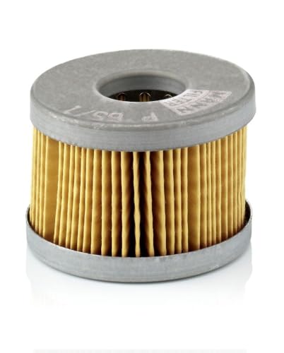 MANN-FILTER P 65/1 x Filtro carburante - AUTOVETTURE +... - Auto & Motorcycle Amazon Italy à 6.96€