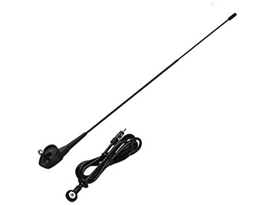 LAMPA 40220 Antenne Antenne radio - Maison & Cuisine Amazon France à 12.31€