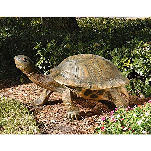 Design Toscano KY168 Sculpture de Tortue de Jardin Géant... - Jardin & Extérieur Amazon France à 486.21€