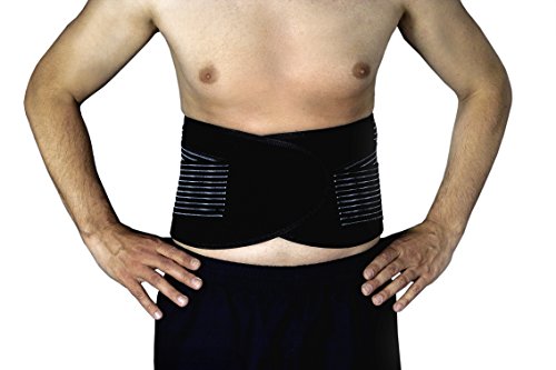 Schiena Tutore Taglia M/L per la schiena - Animalerie Amazon Italie à 14.58€