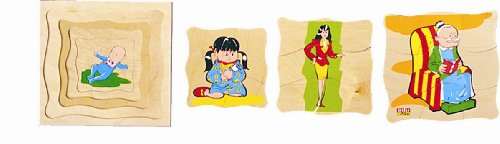 BSM Edufun - Puzzle En Bois - Ef 11610 - L'Evolution De La... - Jouets & Jeux Amazon France à 7.60€