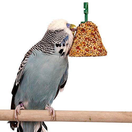 Johnsons Vet Budgie and Parakeet Fruit and Honey Bells - Animalerie Amazon Royaume-Uni à 0.95€