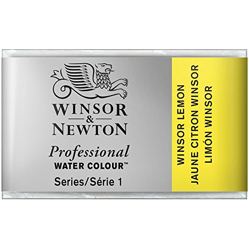 Winsor & Newton Aquarelle Professionnel - Peinture... - Maison & Cuisine Amazon France à 4.16€