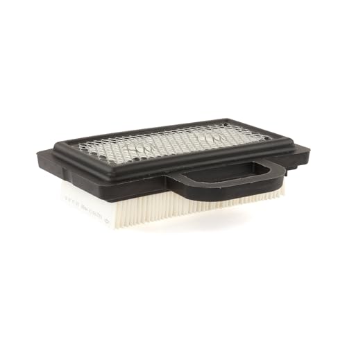 Briggs & Stratton Cartouche de Filtre à air d’Origine... - Auto & Motorcycle Amazon France à 15.59€